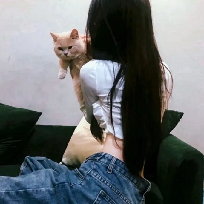 皿三昧